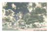 NN I ocre gris bleu et gris rose.jpg (323558 octets)