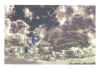 NN I ocre gris violet et  vert.jpg (325274 octets)