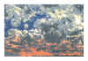 NN IV ocre gris bleu et orange.jpg (387341 octets)