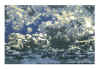 NN IV ocre, gris bleu et bleu.jpg (401232 octets)