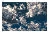 NN V  gris rose et gris bleu.jpg (403555 octets)