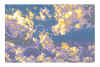 NN V jaune violet et bleu .jpg (354859 octets)
