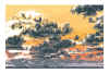 NN VI jaune orange et violet .jpg (370090 octets)