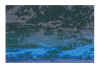 NN IX  violet et bleu.jpg (474840 octets)
