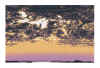 NN VIII  gris violet jaune mauve.jpg (474382 octets)