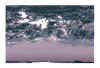 NN VIII gris bleu et mauve.jpg (415383 octets)