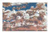 NN VII gris et brun rose.jpg (506613 octets)