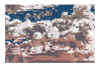 NN VII gris violet et brun.jpg (567452 octets)