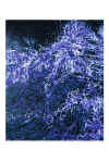vagueIX bleu outremer.jpg (213396 octets)