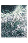 vagueIX vert et gris violet.jpg (311633 octets)